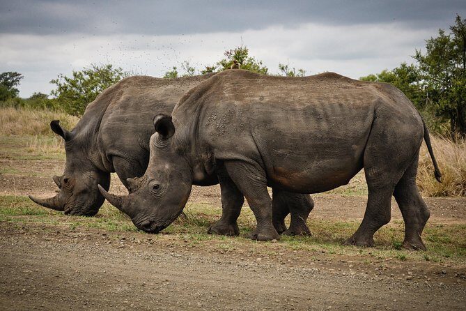2 Days Lake Nakuru Safari - Who Should Consider This Tour?
