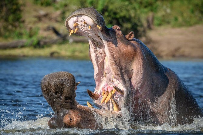 2 Days Lodge Safari - Lake Manyara and Ngorongoro Crater - What Sets This Safari Apart