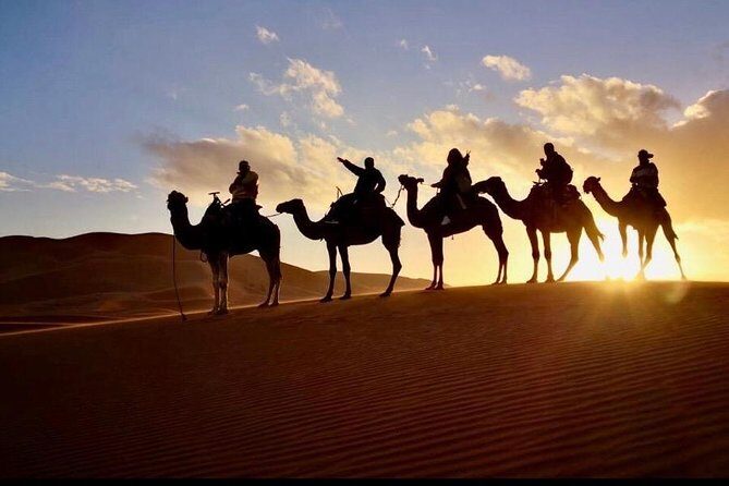 2 Days luxury desert tour from Fes - Why This Tour Works for Travelers