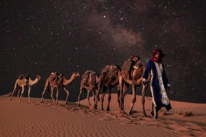 2 Days Luxury Private Tour Fez to Desert - Who Will Love This Tour?