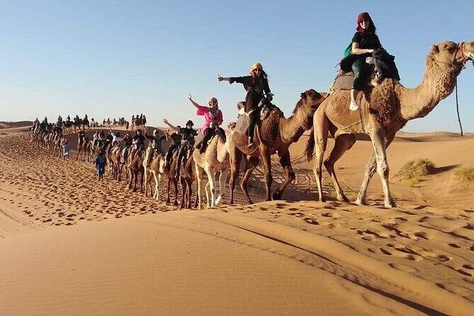 2 Days Luxury Tour to Merzouga Desert from Fez with Small Group - The Sum Up