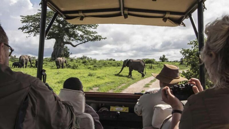 2 Days Maasai Mara Flying Safari Package - Who Should Consider This Tour?