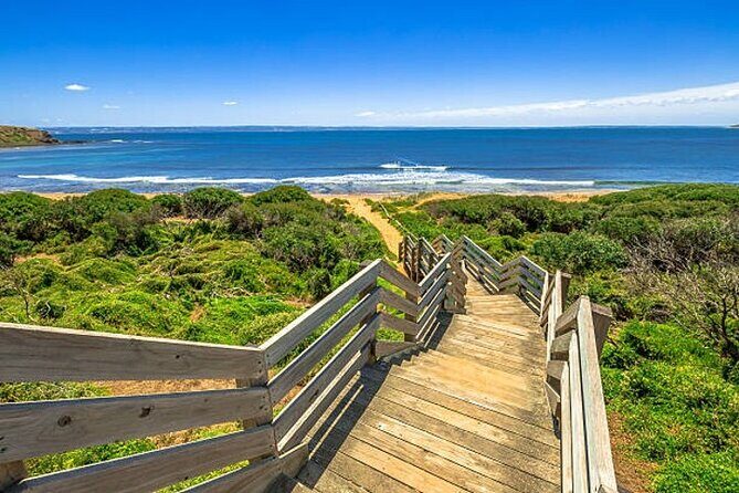 2 Days Melbourne-Great Ocean Road and Phillip Island Private Tour - The Sum Up