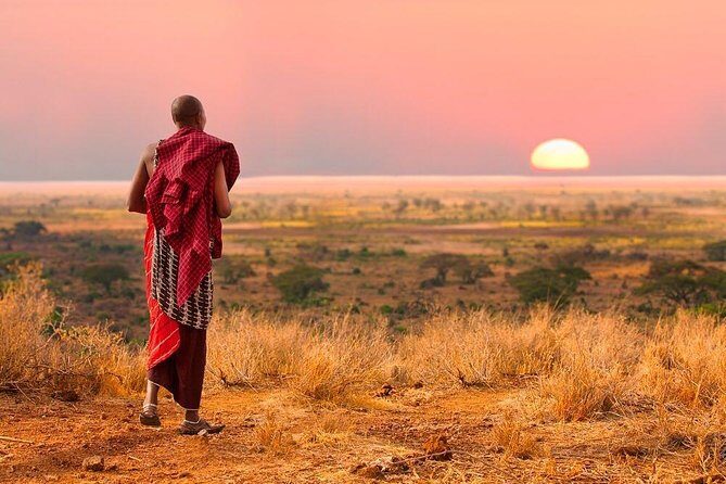 2 days Mid Range Safari in Ngorongoro and Tarangire Big 5 Parks - An In-Depth Look at the Experience