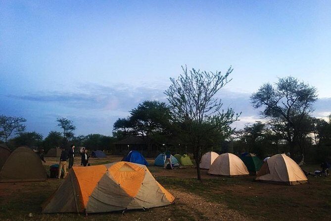 2 days Mid Range Safari in Ngorongoro and Tarangire Big 5 Parks - Final Thoughts