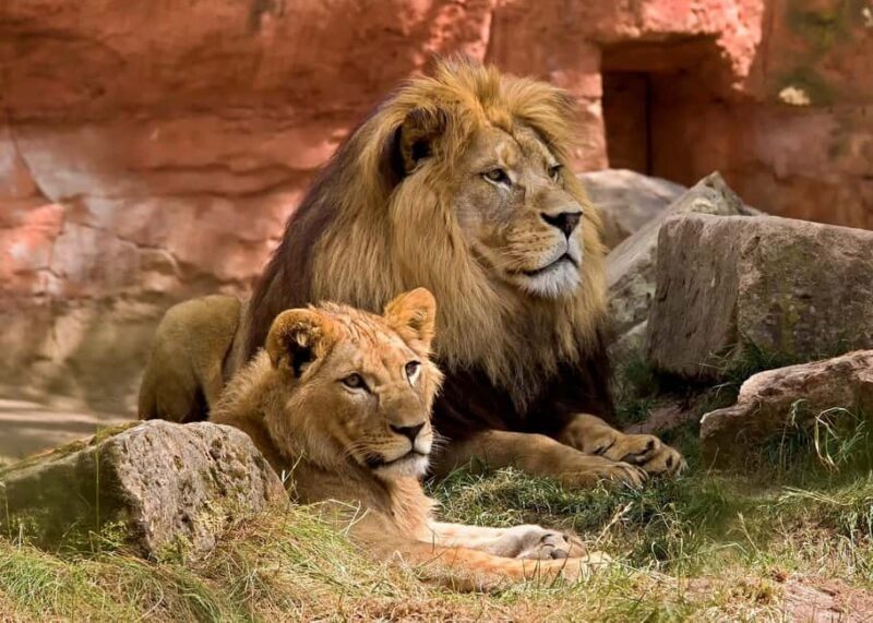 2 DAYS - MIKUMI PARK FROM DAR ES SALAAM BY LUXURY TRAIN - Important Details and Practical Tips