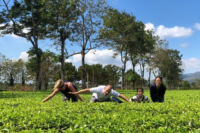 2 Days Motorbike Tour From Mui Ne To Da Lat Or Vice Versa - The Sum Up: Who’s This Tour Best For?
