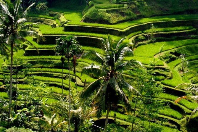 2 Days Mount Batur Sunrise Trekking With Private Ubud Day Tour - Final Thoughts