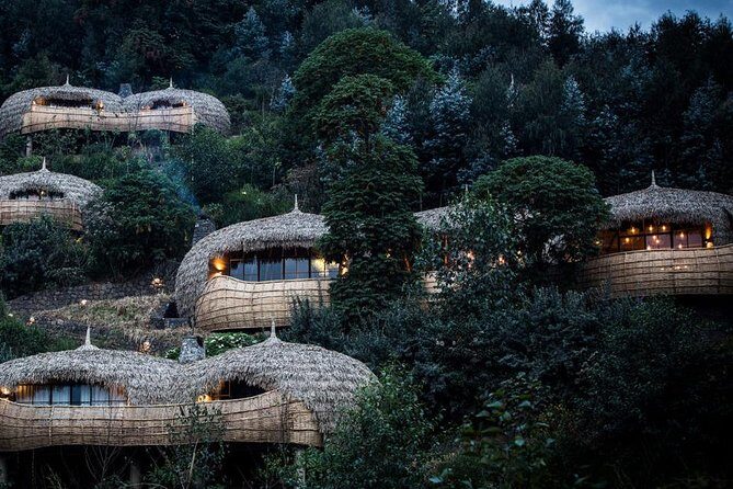 2 Days Mountain Gorilla Safari Rwanda - Practical Tips for Potential Participants