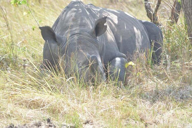 2 days Murchison Falls and Wildlife Game Viewing - The Guide and the Experience