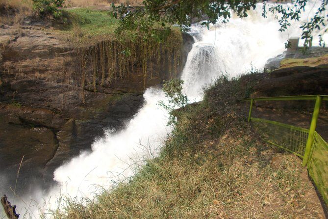2 Days Murchison Falls Big 5 Savannah wildlife safari - Introduction: What You Can Expect from This Safari