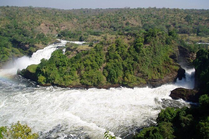 2 Days Murchison Falls Park Vacation - Introduction