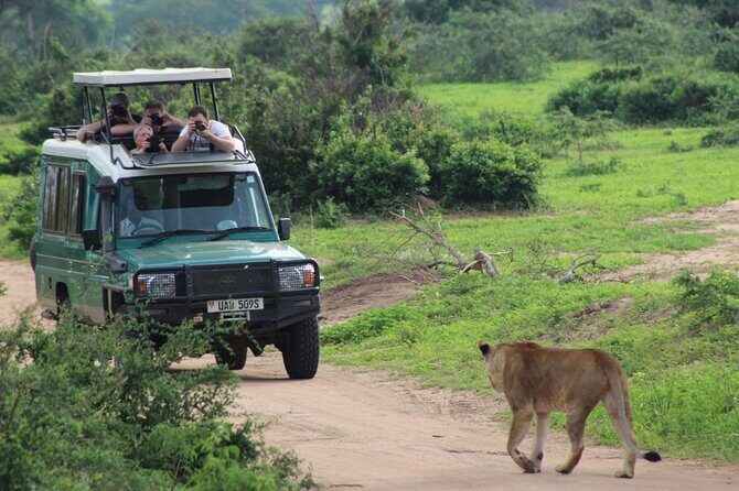2 Days Murchison Falls Park Vacation - The Itinerary in Detail
