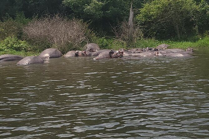 2 Days Murchison Falls Park Vacation - FAQ