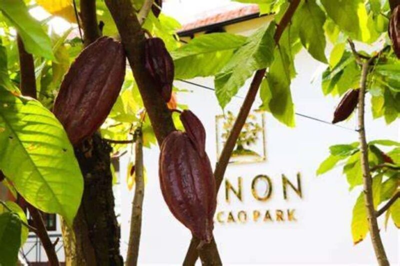 2 Days Nature & Chocolate Getway to Ho Tram l From HCMC - FAQs
