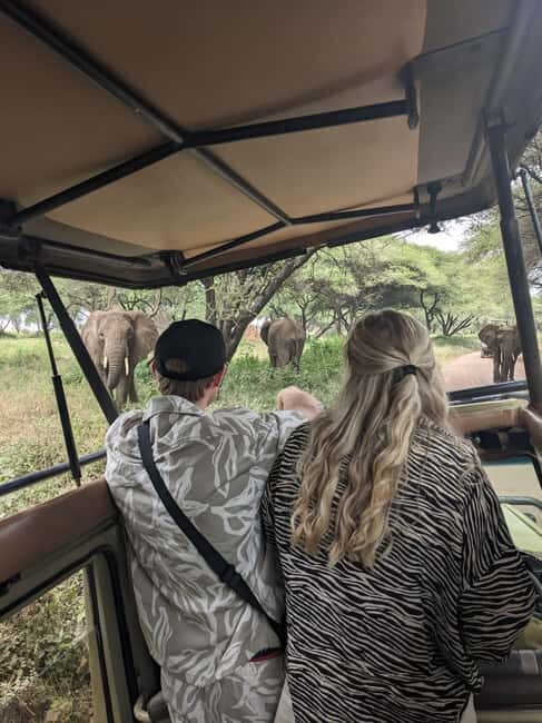 2-Days, Ngorongoro crater and Tarangire Safari. - Who Will Love This Safari?