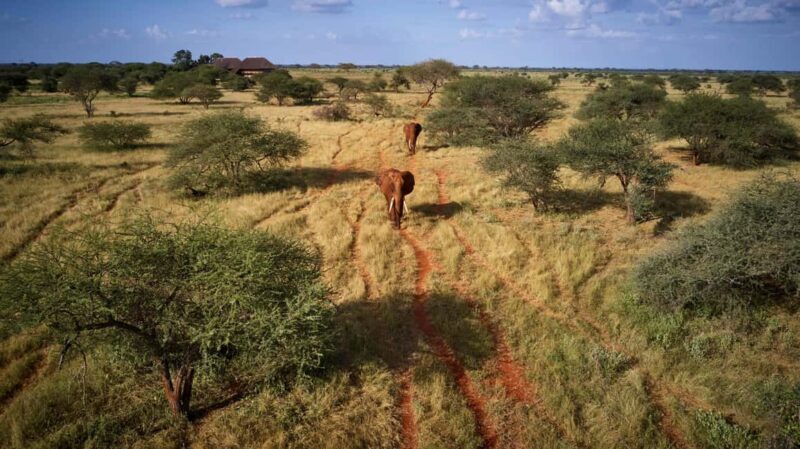 2 Days Ngutuni Sanctuary, Tsavo East Private Safari - Why Choose This Safari?
