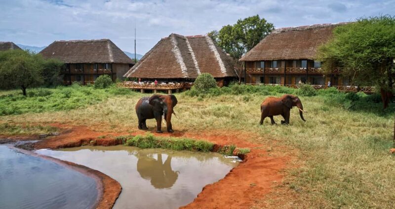 2 Days Ngutuni Sanctuary, Tsavo East Private Safari - What’s Included & Practical Considerations