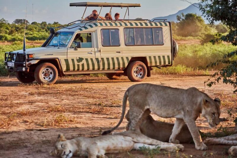 2 Days Ngutuni Sanctuary, Tsavo East Private Safari - Final Thoughts: Who Will Love This Safari?