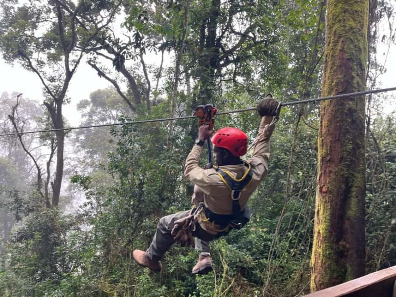 2 Days Nyungwe National Park Tours -Chimp-Canopy-Waterfall - Frequently Asked Questions (FAQs)