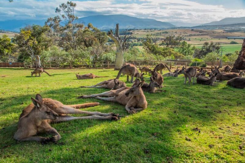 2 Days of Tasmania's Best - Key Points