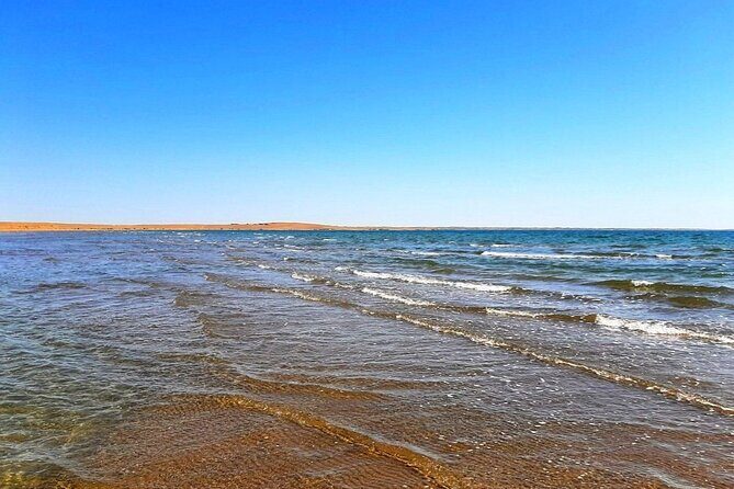2 Days of Tour in Yurt Camp and Aydarkul - Who Will Love This Experience?