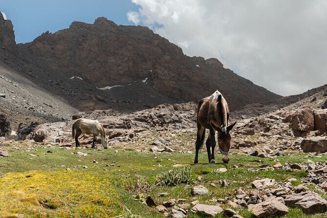 2 days on the Toubkal Express - Authentic Mountain Hospitality and Expert Guidance
