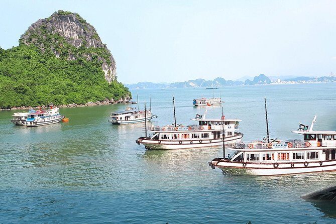2 Days Overnight on Aura Cruise Cruise Ha Long - Is This Tour Worth It?