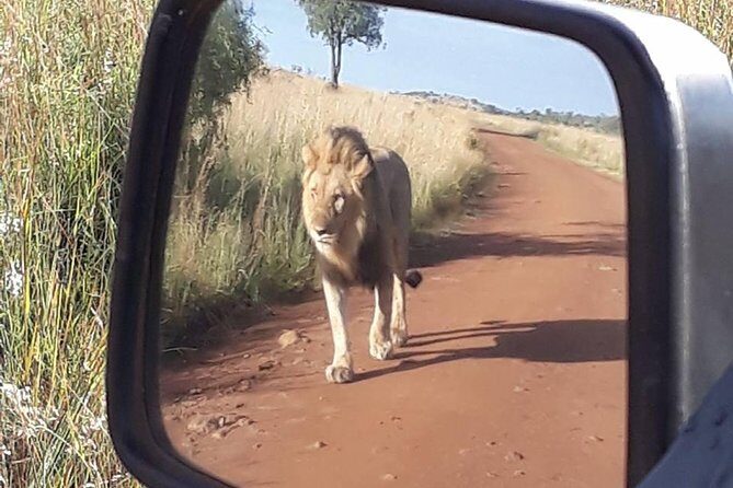 2-Days Pilanesberg best chance to view "Big 5" with private extended safari - FAQ