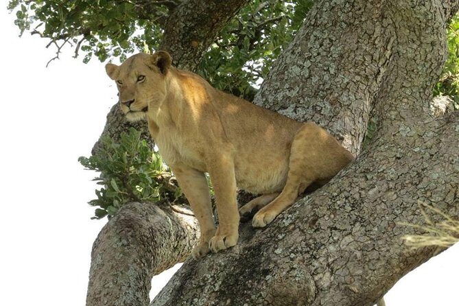 2 Days Popular Safari to Lake Mburo National Park - Who Will Love This Tour?