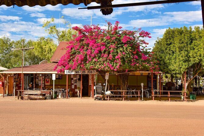 2 Days Private Guided Tour from Darwin to Alice - Analyzing the Value and Who Will Love This Tour