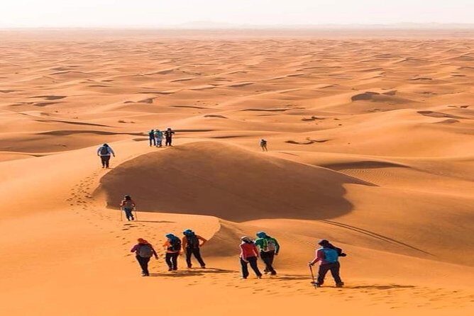2 Days Private Journey in Fez Desert with Camel Trek - What’s Included and What to Consider