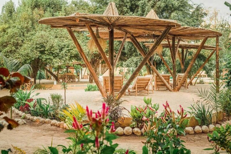 2 Days Private Midrange Safari to Tarangire & Ngorongoro - What You Can Expect from This Safari Adventure