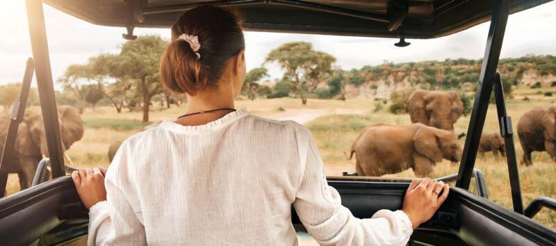 2 Days Private Midrange Safari to Tarangire & Ngorongoro - The Experience of a Lifetime, Packed Into Two Days