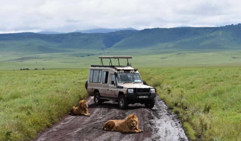 2 Days Private Midrange Safari to Tarangire & Ngorongoro - Final Thoughts