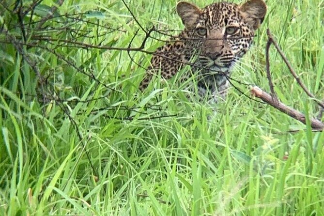 2 days private safari to Mikumi N park from Zanzibar or Dsm - Practical Considerations