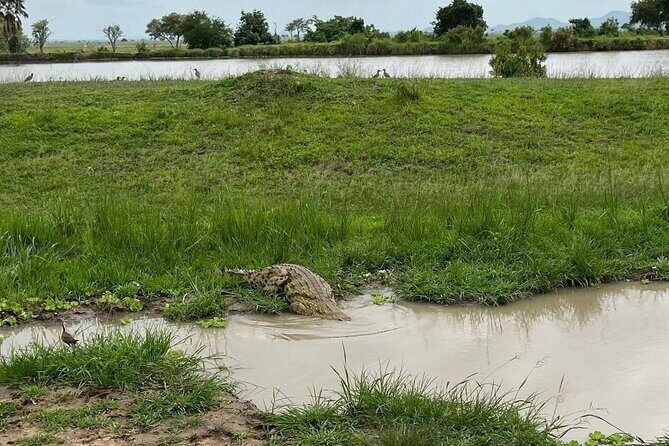 2 days private safari to Mikumi N park from Zanzibar or Dsm - Who This Tour Is Best For