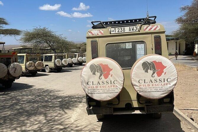 2 days private safari to Mikumi N park from Zanzibar or Dsm - The Sum Up: Why Choose This Safari?