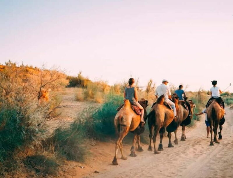 2 Days Private Safari Tour from Bukhara - Key Points