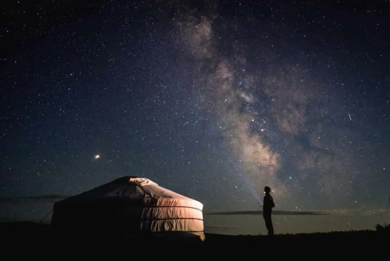 2 Days Private Safari Tour from Bukhara - Transportation and Comfort