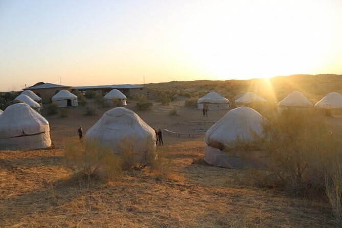 2 Days Private Safari Tour from Bukhara - What Travelers Say: Authenticity and Value Shine