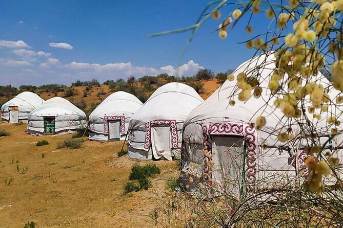 2 Days Private Safari Tour from Bukhara - Who Should Consider This Tour?