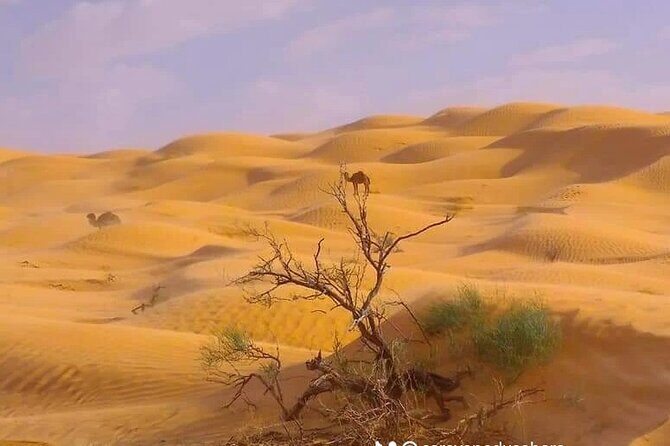 2 Days Private to Ksar Ghilan and Chenini night in Bivouac - The Sum Up