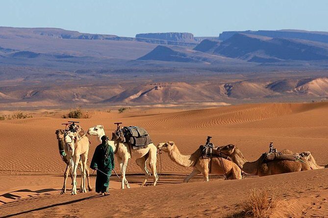 2 Days Private Tour From Marrakech To Zagora Desert - From Kasbahs to Sahara: Moving Further South