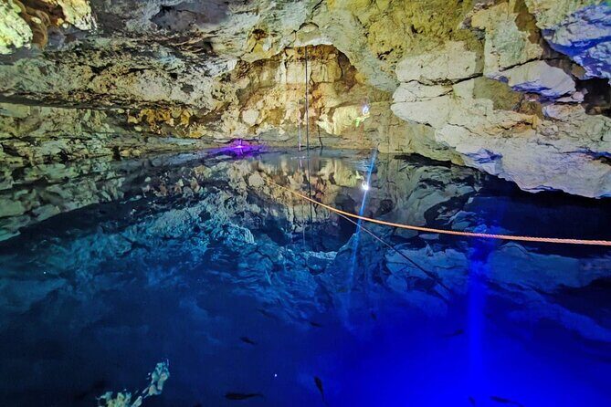 2 Days Private Tour in Aguas Rosas and Cenotes - Visualizing the Experience