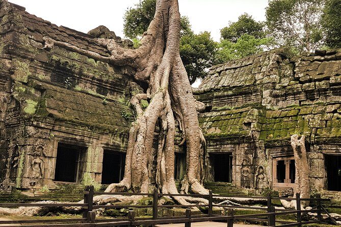 2-Days Private Tour in Angkor Sunrise, Banteay Srei and Beng Mealea Temple - The Sum Up: The Value of a Private, Authentic Temple Tour