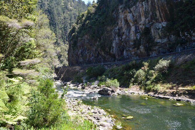 2 Days Private Tour in Coromandel Peninsula from Hamilton - A Deep Dive into the Coromandel Adventure