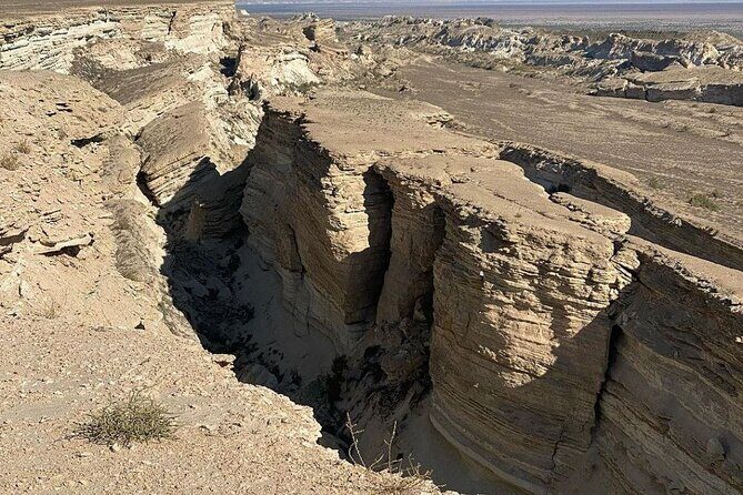 2 Days Private Tour To Aral Sea from Nukus. - Key Points