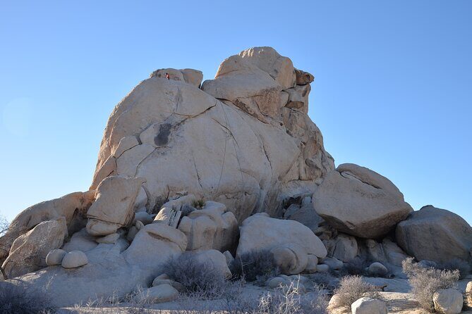 2-days Private Tour to Joshua Tree National Park from Los Angeles - What This Tour Means for You
