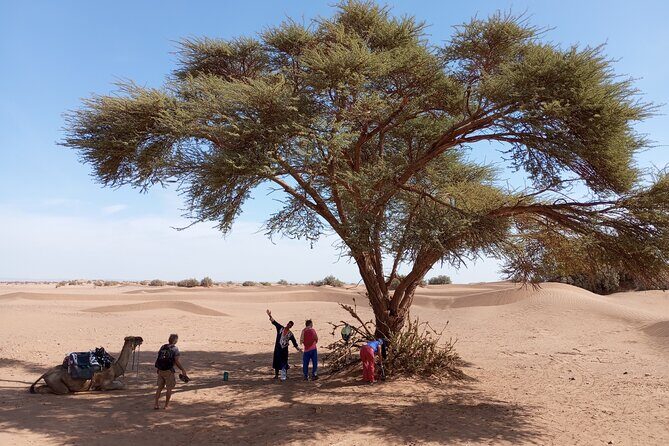 2 Days Private Tour to Sahara from Marrakesh with Pick Up - The Sum Up: A Real Taste of Morocco’s Desert and Heritage